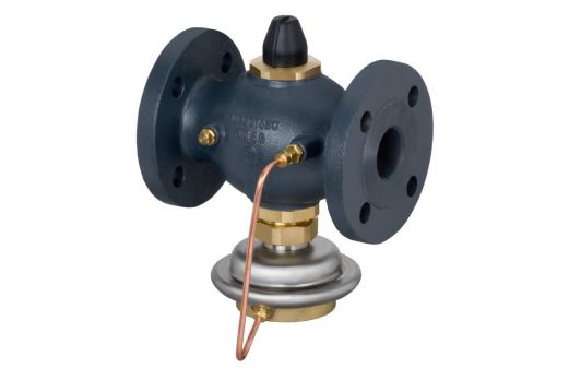 Danfoss 003H6732 - Р-р расх.AVQ PN25 50/25//0,2/фл.(пр. класс 0864808040)